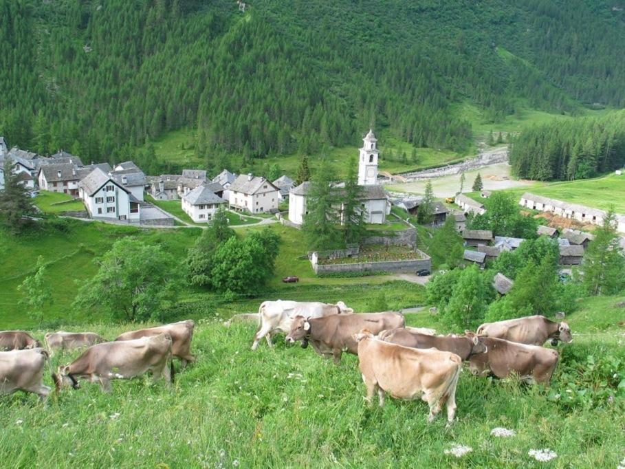 Casa Di Vacanza Giovanibosco エクステリア 写真